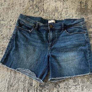 Casual Blue Denim Shorts